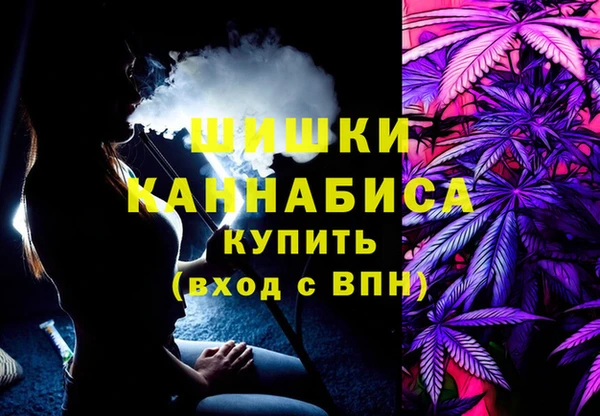 амф Елабуга