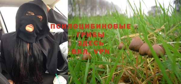 а пвп мука Ельня